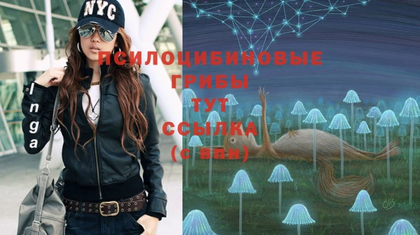 трава Абаза
