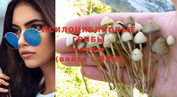 трава Абаза